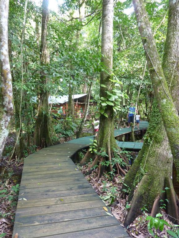 Hotel Casa Perico Rio Dulce Town Εξωτερικό φωτογραφία